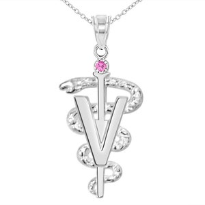 Veterinarian DVM Necklace Gift in Silver