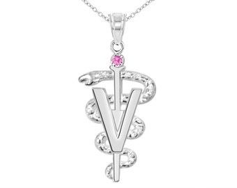 Veterinarian DVM Necklace Gift in Silver