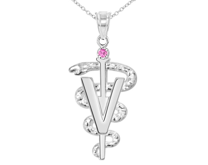 Featured listing image: Veterinarian DVM Necklace Gift in Silver