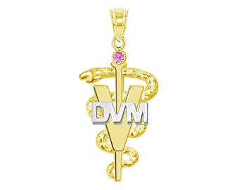 Veterinarian DVM Graduation Pendant in 14K Yellow and White Gold