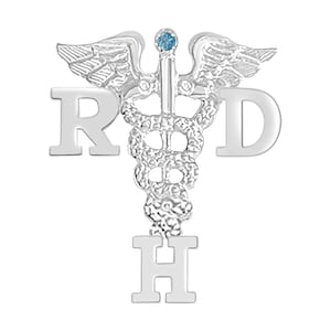 May include: Silver medical caduceus pin with a blue gemstone, surrounded by the letters RDH and a lower case H.