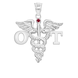 Occupational Therapist OT Silver Charm
