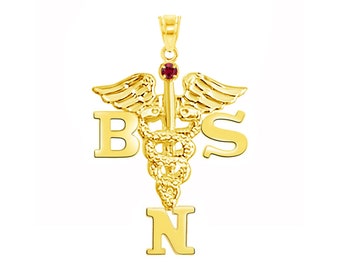 BSN 14K Nurse Charm Pendant