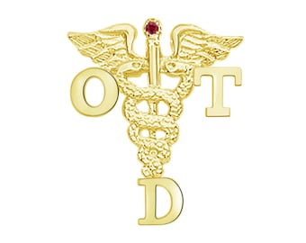 Doctor of Occupational Therapy 14K Gold Graduation Pin