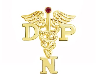 14K Gold DNP Doctor Nursing Practice Pin