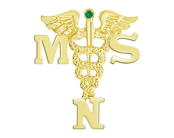 Nursing Pin Masters of Science 14K Gold