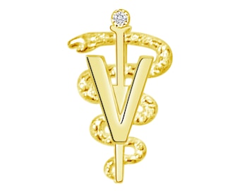 Veterinarian DVM Graduation Pin 14K Gold