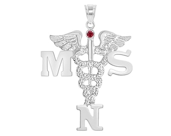 Masters of Science in Nursing MSN Charm
