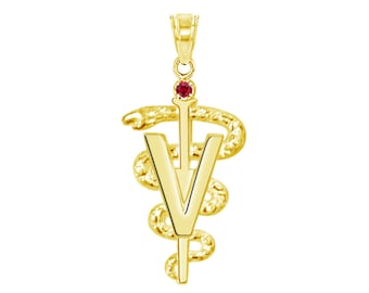 Veterinarian DVM Graduate Charm 14K Gold