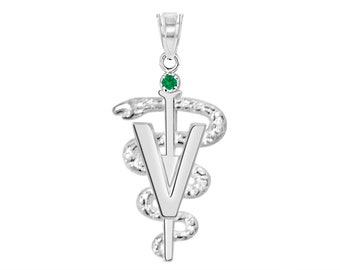 DVM Veterinarian Silver Graduate Charm