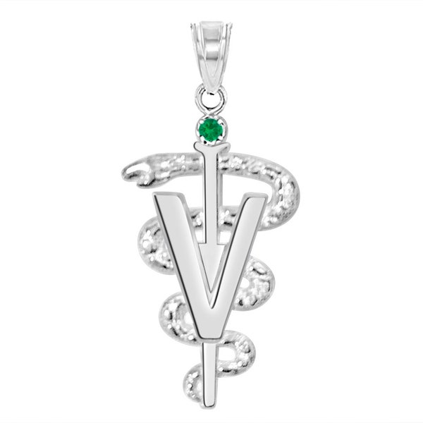 DVM Veterinarian Silver Graduate Charm