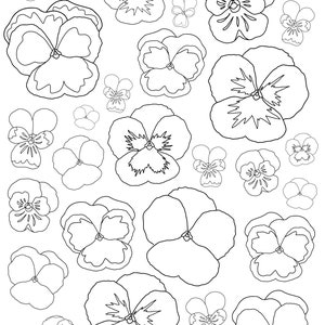 Pansy / Violet Coloring Page