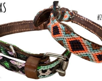 Dog Collars