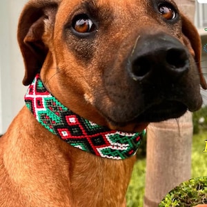 Mexican Dog Collar/ Dog Collars from Yucatan / Synthetic Leather Dog Collars/ Ticul dog collars size XS