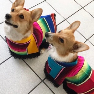 Dog zarape/ Mexican dog cape/ Mexican dog sweater/ Mexican dog coat/ Dog coat zarape style