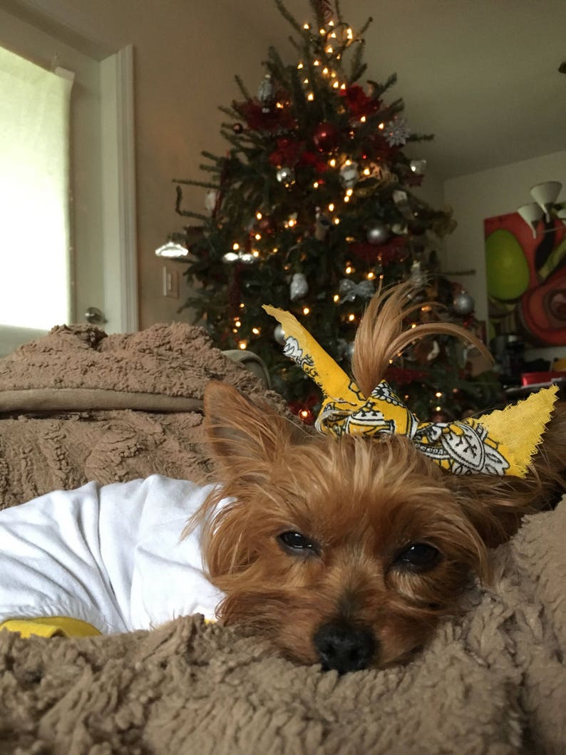 Handmade Hair bows for dogs/ Flower bows/ Cute bows for girl Etsy