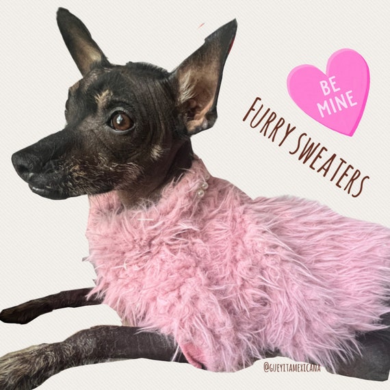 Dog sweaters etsy sales