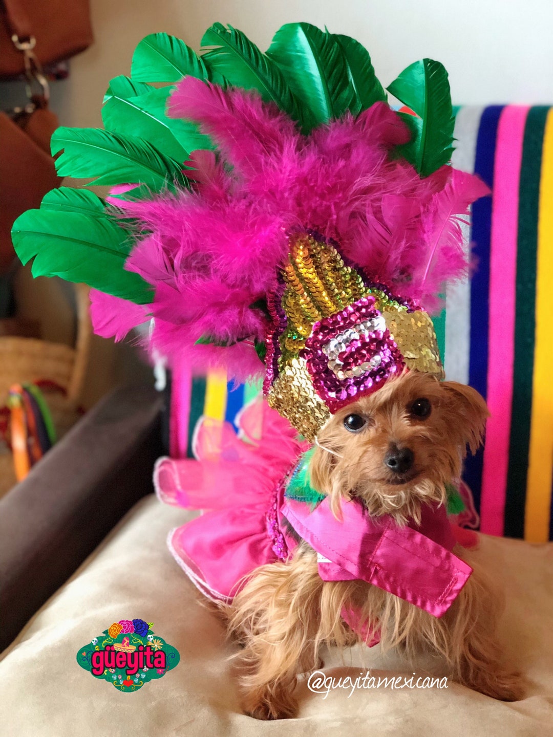 Dog mardi gras outfit deals