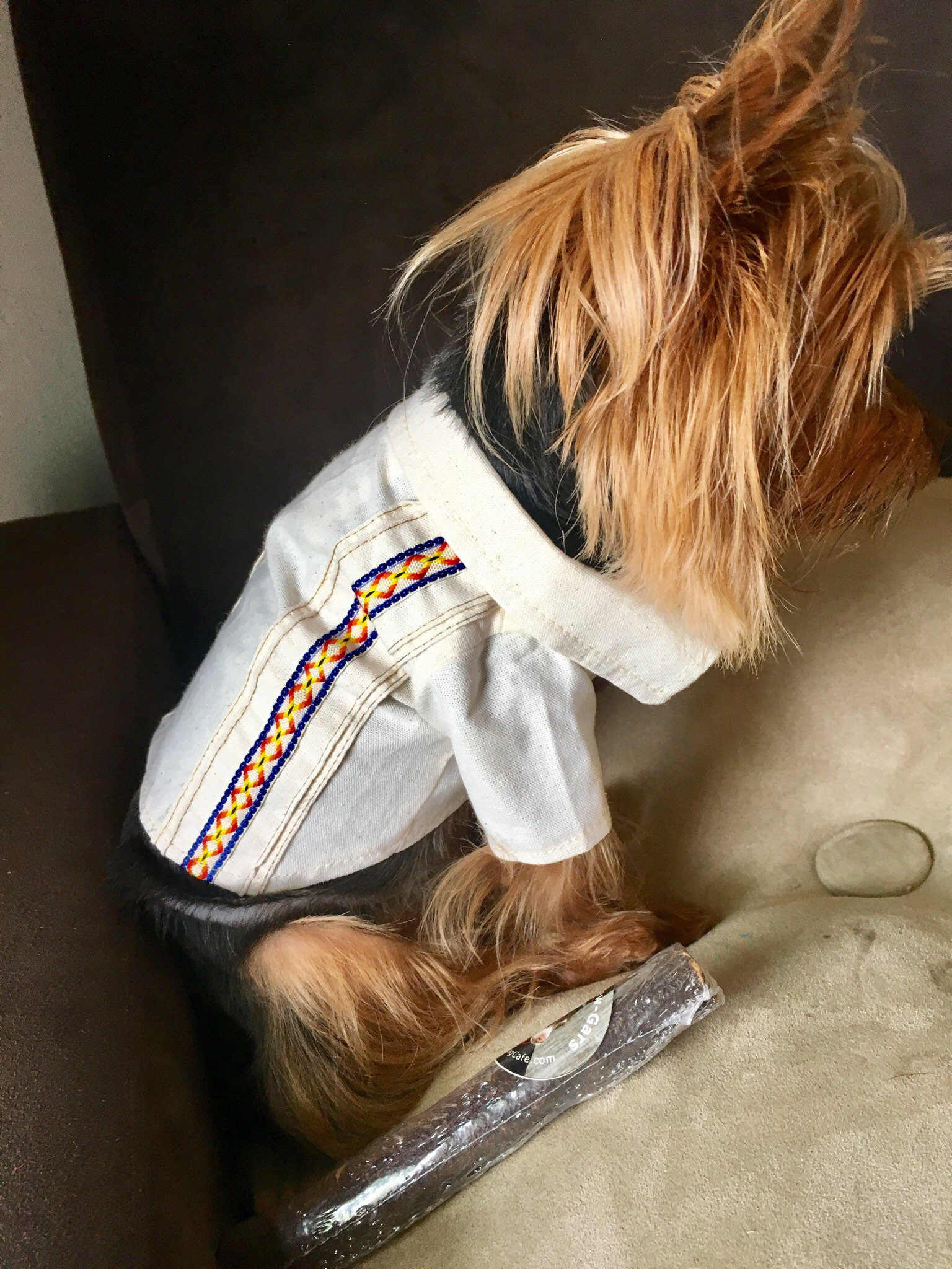 Mexican Dog Shirts/ Mexican Guayabera 