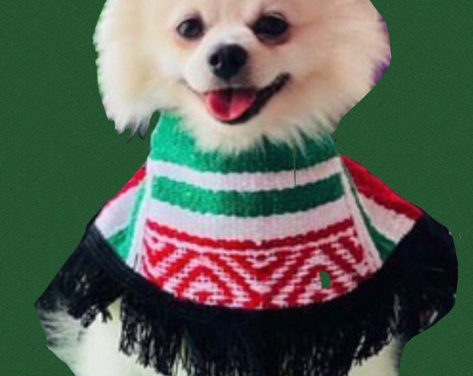 mexican dog clothes