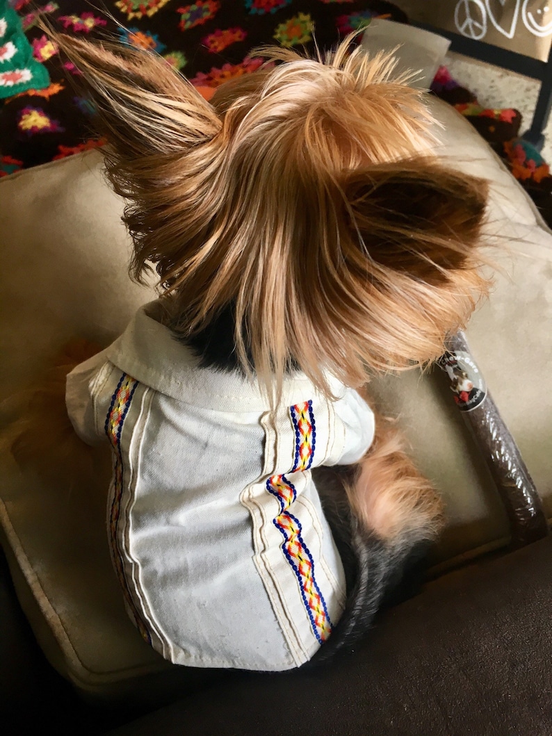 mexican dog shirt