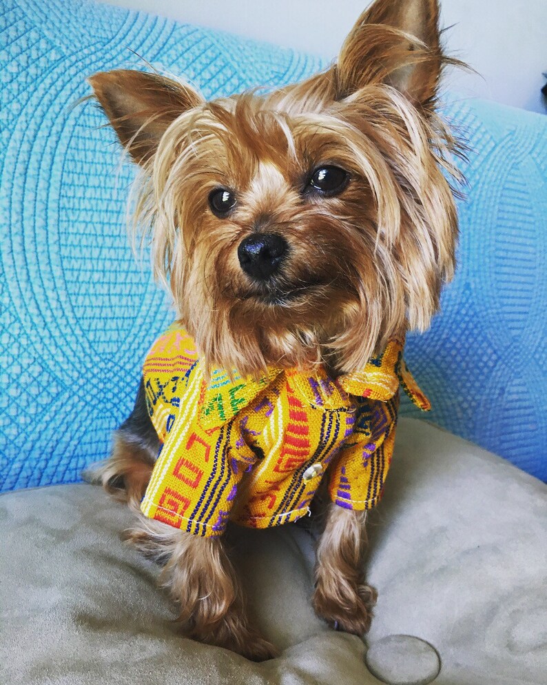 mexican dog shirt
