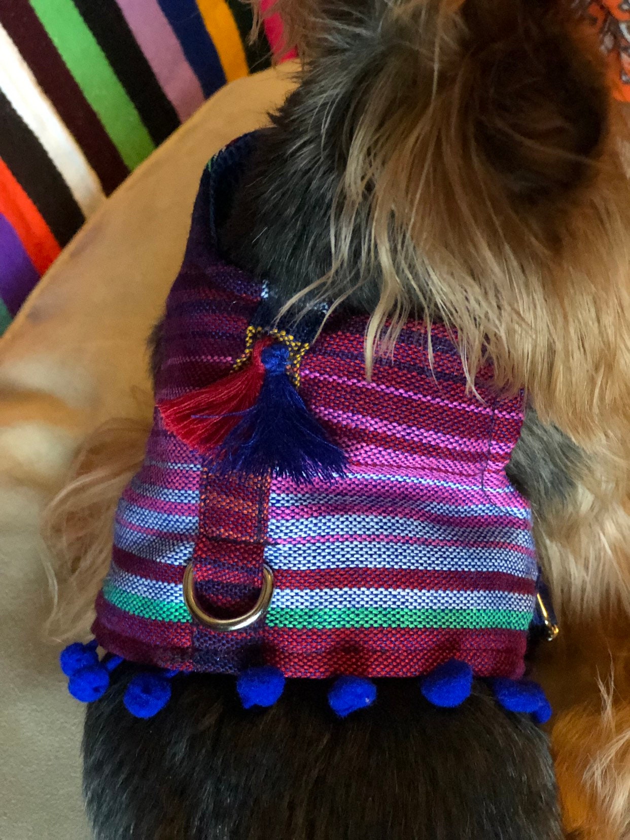 Mexican Dog Harness/ Stripped dog Harness/ Mexican Zarape Dog Harness
