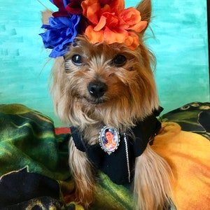 Mexican Dog Dress/ Frida dog Costume/ Frida Kahlo dog dress / Frida Kahlo Set / Frida Dog costume image 4