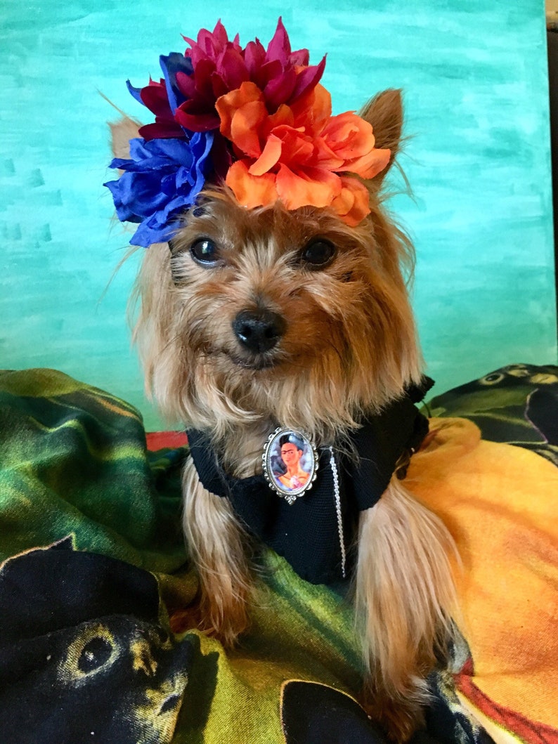 Mexican Dog Dress/ Frida Dog Costume/ Frida Kahlo Dog Dress / Etsy