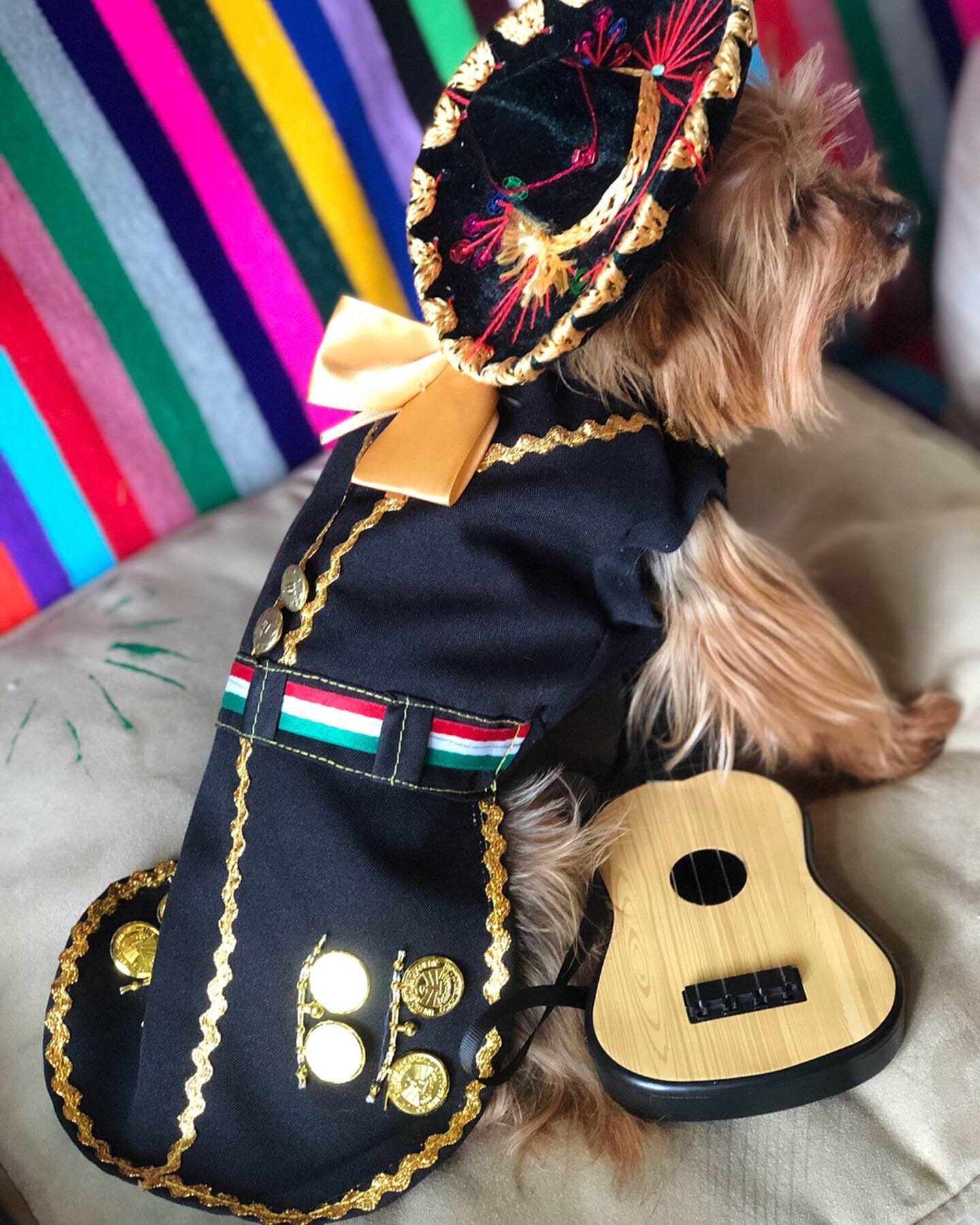 Arriba 65+ imagen ropa mexicana para perros