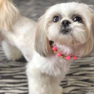 Mexican Dog Collar/ Dog Collars from Yucatan / Synthetic Leather Dog Collars/ Ticul dog collars size XS