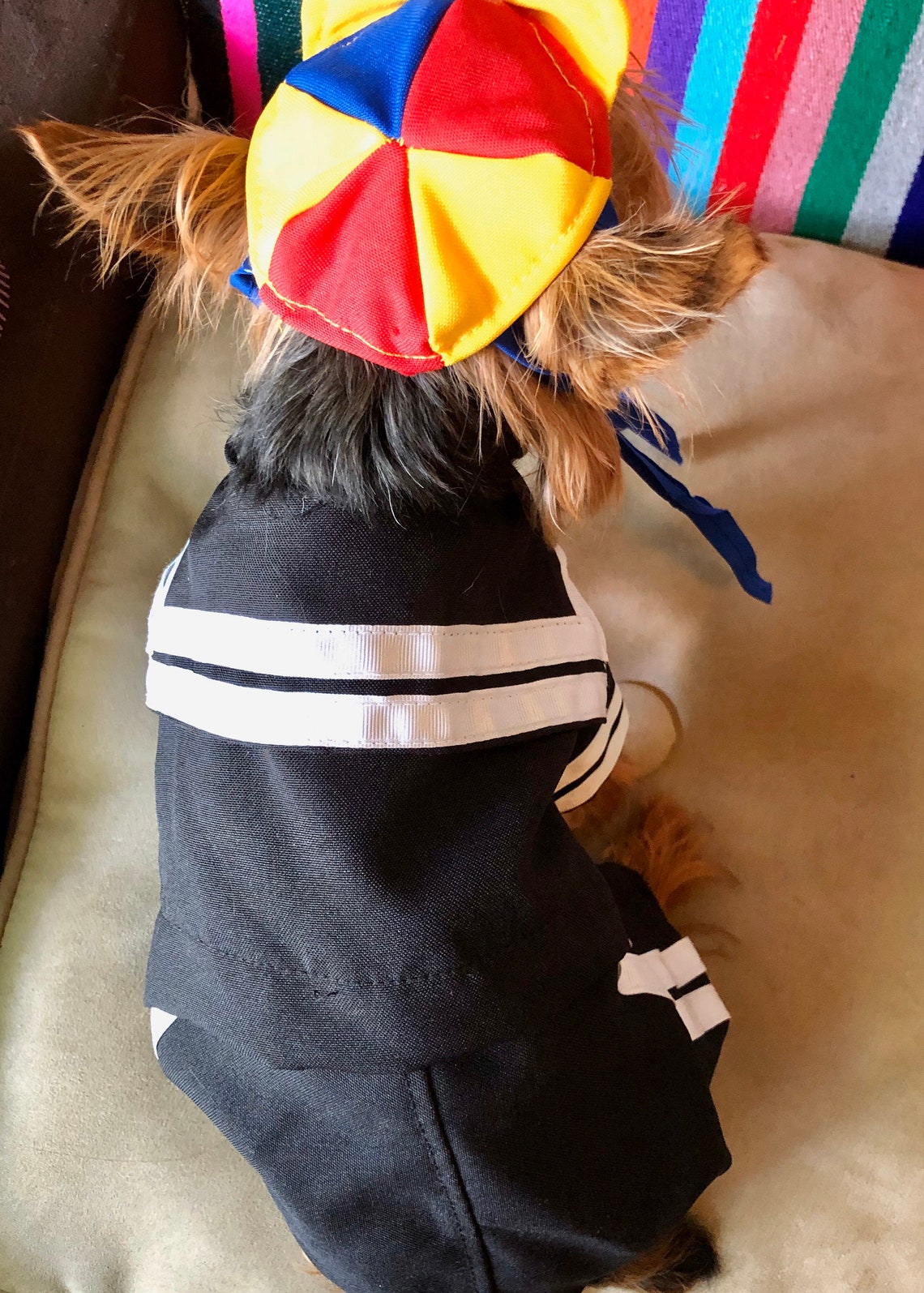 Quico Dog Costume/ Mexican Outfit for Dog/ Mexican Dog Costume Etsy