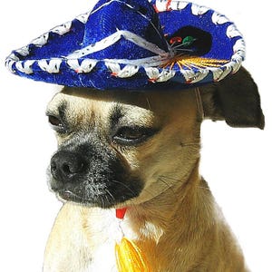 Dog Sombrero Etsy Canada