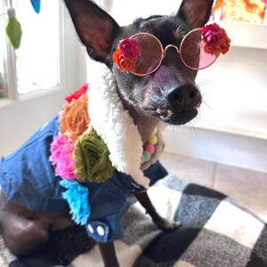 Mexican denim Frida dog jacket/ Mexican Designer denim dog jacket/ Designer Dog Jacket/Mexican dog jacket