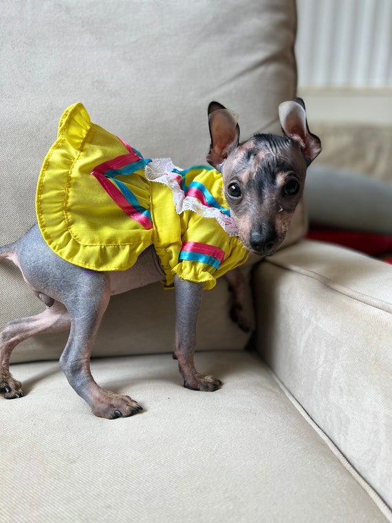 Vestido de Mexicanita para perro/ Disfraz Mexicana para - Etsy México