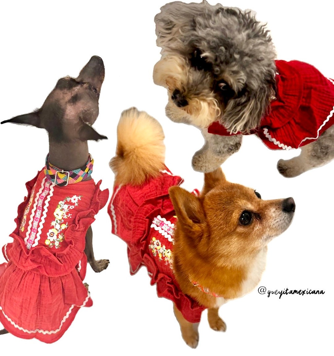 Day of the Dead Dog Girl Dresss/ Mexican Dog Girl Dress/ Mexican Dogoutfit for Day of the Dead