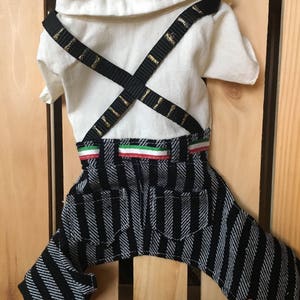 Mexican Revolutionary Dog Costume/ Mexican revolutionary costume/ Cinco de Mayo outfit/ Mexican dog costume/ Mexican outfit