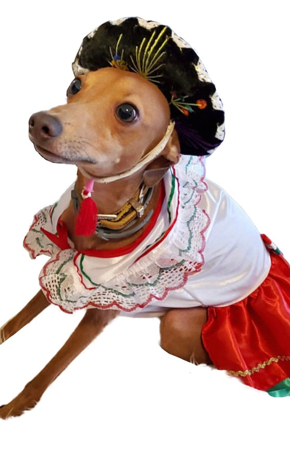Disfraz de Mexicanita para perro/ Disfraces Mexicanos para - Etsy México