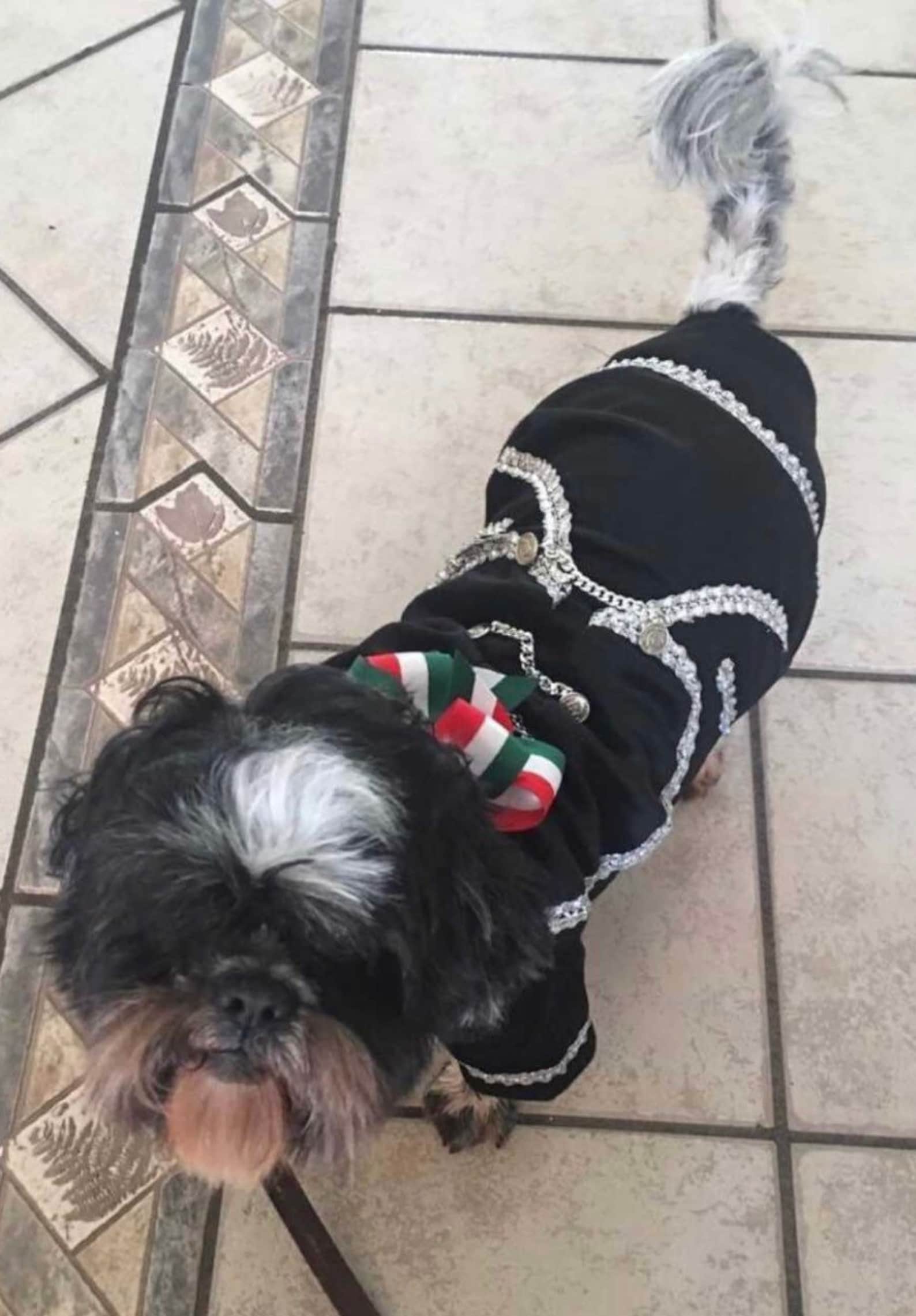 Premium Mariachi Dog Costume / Mariachi Outfit for Dogs/ Mexican Dog