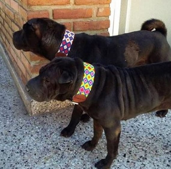 mexican dog collar