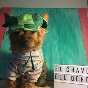 El Chavo del Ocho Dog costume/ Mexican outfit for dog/ Mexican dog costume / El chavo del Ocho/ Dog costume