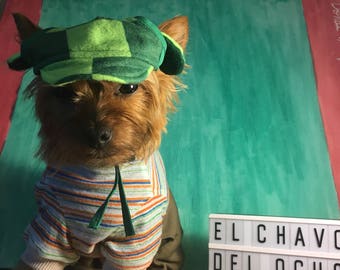 Disfraz del Chavo del Ocho para perro/ Disfraz mexicano para perro/ El chavo del Ocho/ Disfraz para perrito