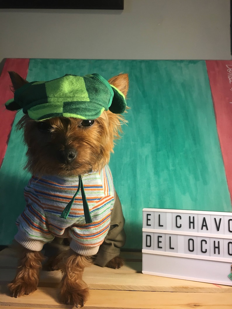 El Chavo del Ocho Dog costume/ Mexican outfit for dog/ Mexican Etsy