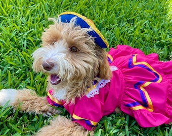 Costume da cagnolina messicana/ Vestito da cagnolina messicana/ Vestito da cagnolina messicana per il Cinco de Mayo/ Vestito da cagnolina per il Cinco de Mayo/ Vestito da cagnolina Escaramuza
