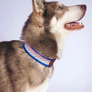 Mexican Dog Collar/ Dog Collars from Yucatan/ Synthetic Leather Dog Collars/ Ticul dog collars size XL