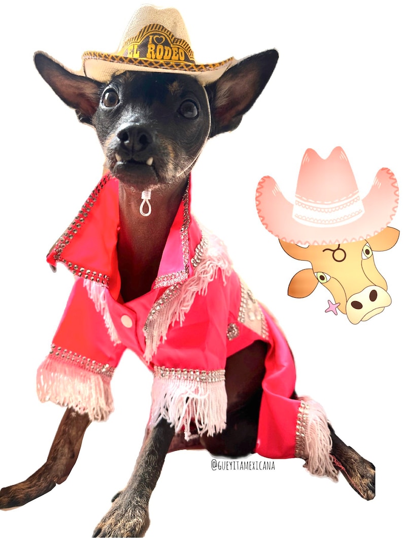 Rodeo Outfit for Dogs/ Rodeo Costume for Dogs/ Pink Rodeo Set for Dogs ...
