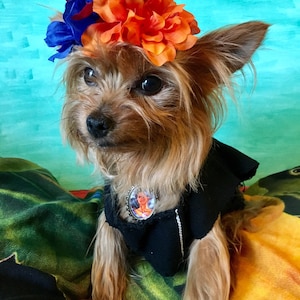 Mexican Dog Dress/ Frida dog Costume/ Frida Kahlo dog dress / Frida Kahlo Set / Frida Dog costume image 1