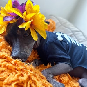 Disfraz del esqueleto para perro/ Disfraz de calaca para perro/ Dia de muertos/ Disfraz de perro esqueleto/ Pijamita de esqueleto