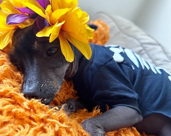 Disfraz de esqueleto para perro/ Disfraz de calaca para perro/ Dia de muertos/ Disfraz de perro esqueleto/ Pijama de esqueleto