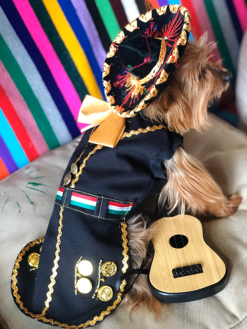 Mariachi Dog Costume/ Mariachi Outfit for Dogs/ Mexican Dog Etsy